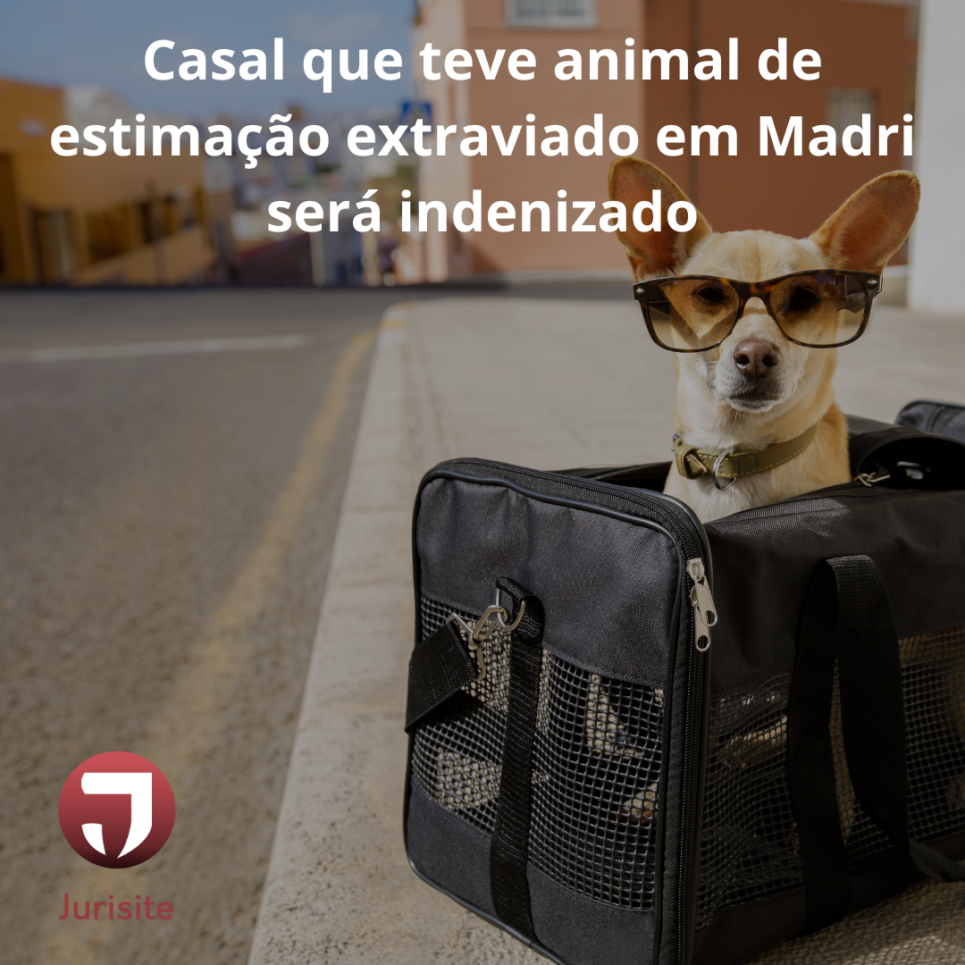 Casal que teve animal de estimação extraviado em Madri será indenizado