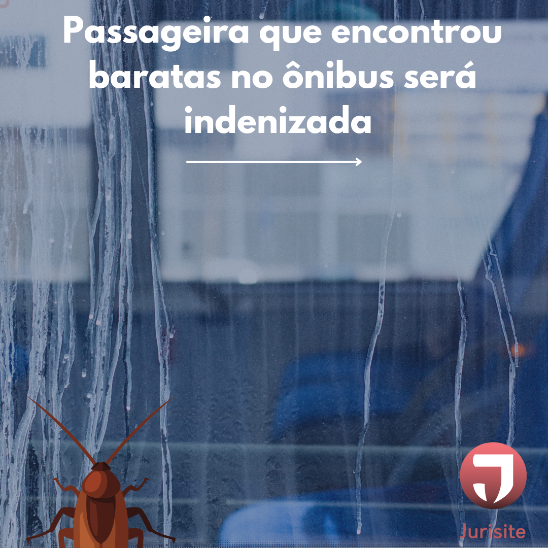 Passageira que encontrou baratas no ônibus será indenizada