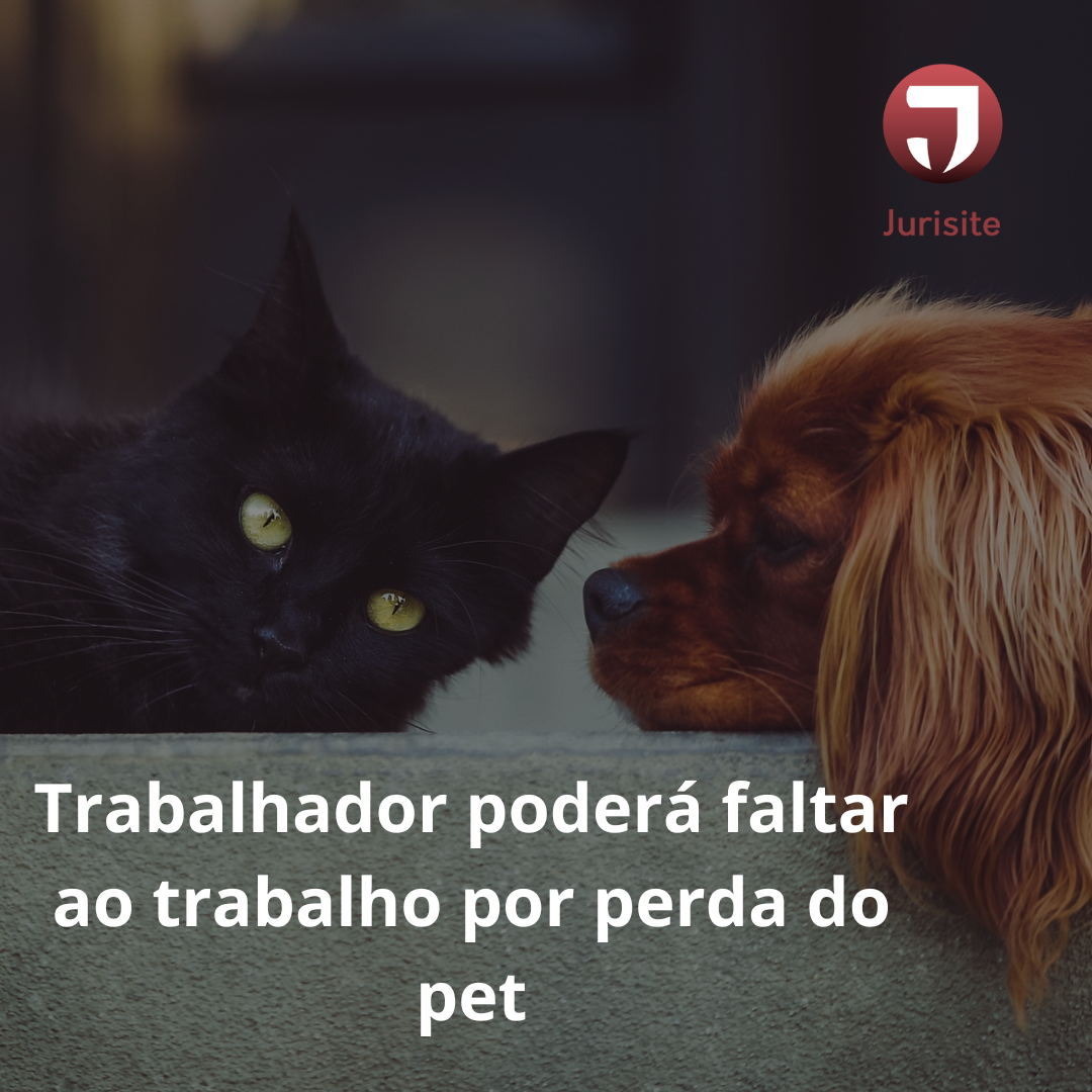Trabalhador poderá faltar ao trabalho por perda do pet