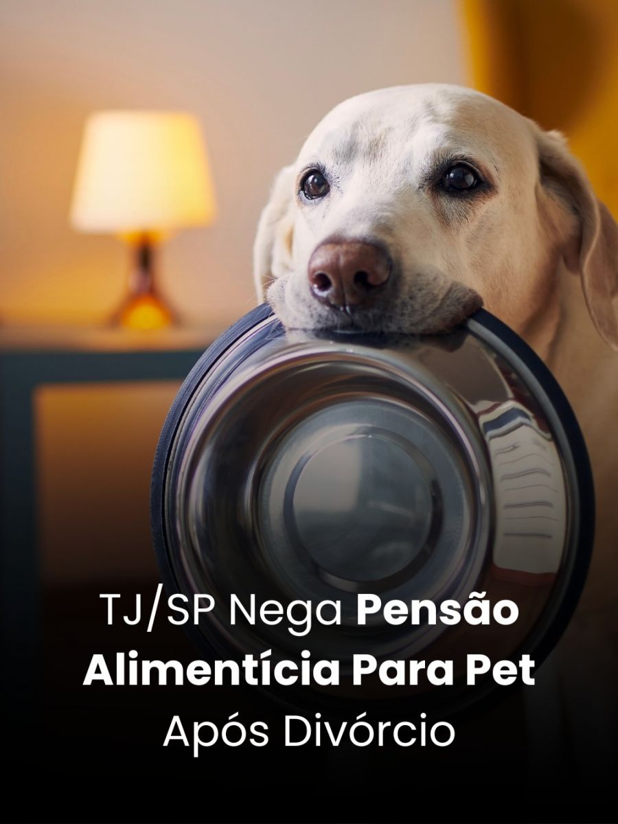 TJ/SP Nega Pensão Alimentícia Para Pet Após Divórcio