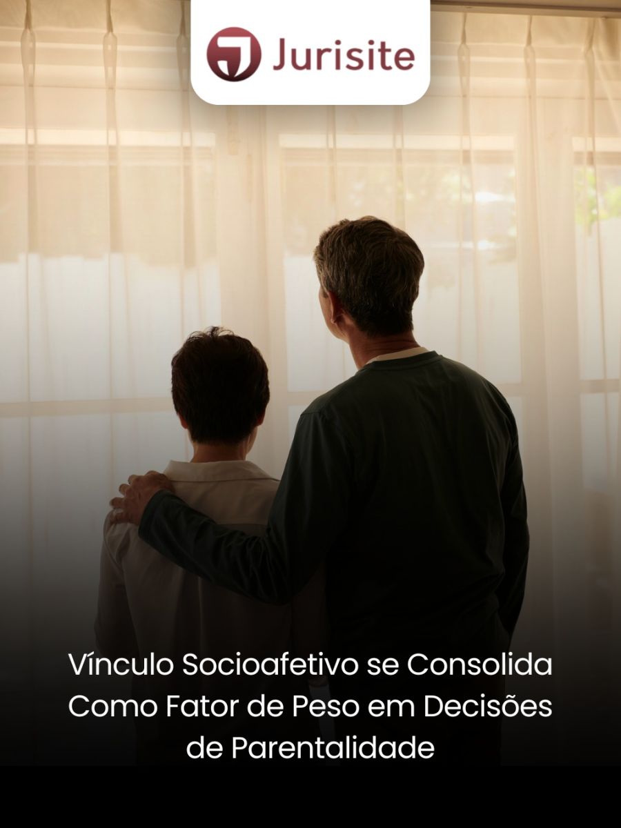 Vínculo Socioafetivo se Consolida como Fator de Peso em Decisões de Parentalidade